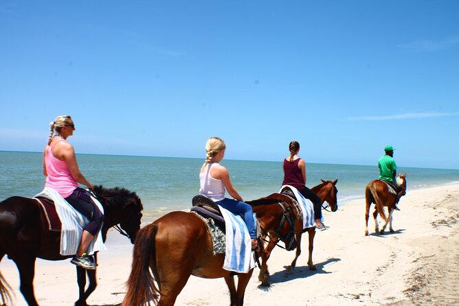 Horseback Ride ATV and Bamboo Rafting Tour Ocho Rios in Jamaica - What the private driver adds