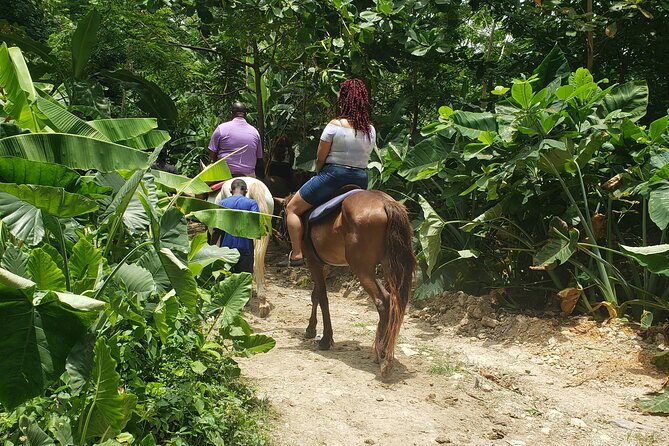 Horseback 'Ride N Swim' & Dunns River Falls from Montego Bay - A Sea Ride and a Waterfall in One Half-Day