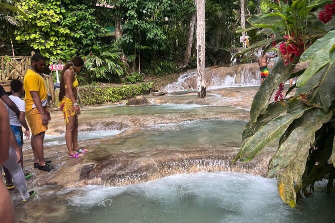 Horseback 'Ride N Swim' & Dunns River Falls from Montego Bay - What the $102 Price Covers