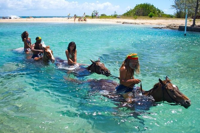 Horseback Ride & Swim Jamaica/Montego Bay - Key points at a glance