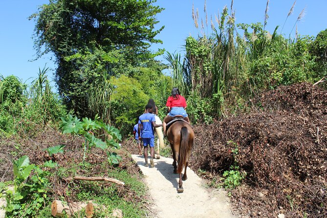 Horseback Ride & Swim Jamaica/Montego Bay - The beach and the horseback swim
