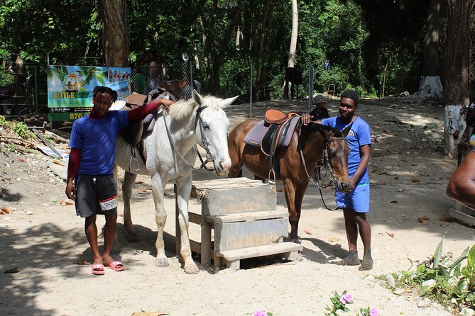 Horseback Ride & Swim Jamaica/Montego Bay - Guides, photographs, and the human side of the outing
