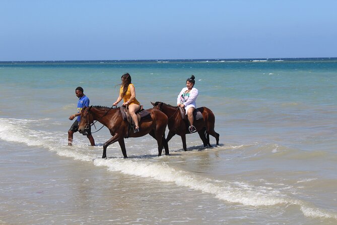 Horseback Ride & Swim Jamaica/Montego Bay - Who will enjoy this most?