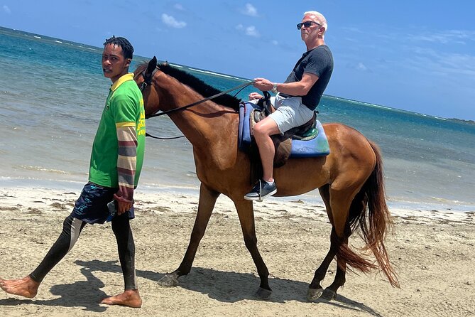 Horseback riding & bluehole secret falls from Montego Bay - Key points to know before you book