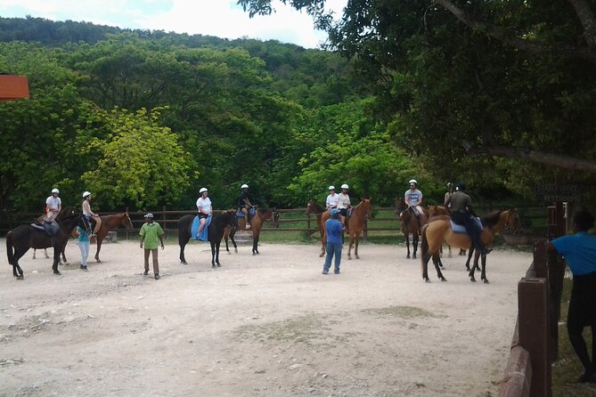 Horseback Riding Dunn's River Falls Adventure from Montego Bay - Guides, transfers, and group size