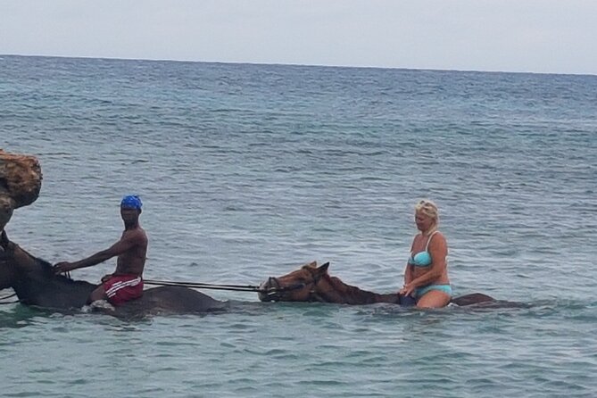 Horseback Riding Dunn's River Falls Adventure from Montego Bay - What the $186.35 price really buys