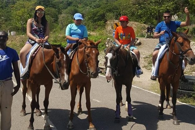 Horseback Riding from Montego Bay - Guides, Drivers, and the Feel of a Private Tour