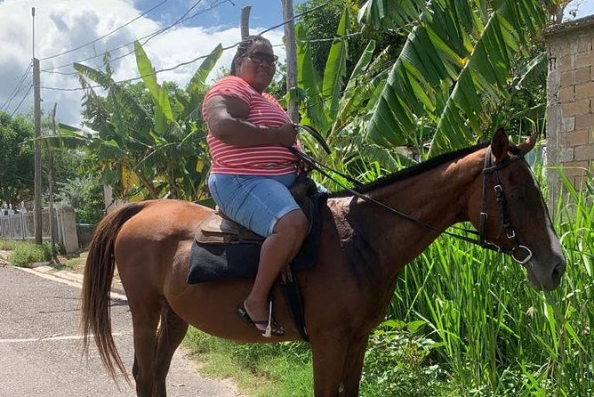 Horseback Riding from Montego Bay - Practical Details That Matter on the Day