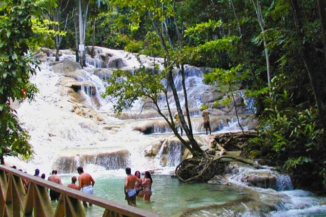 Horseback Riding plus Dunns River Falls Combo Private Tour - Two Jamaica classics packed into one private day