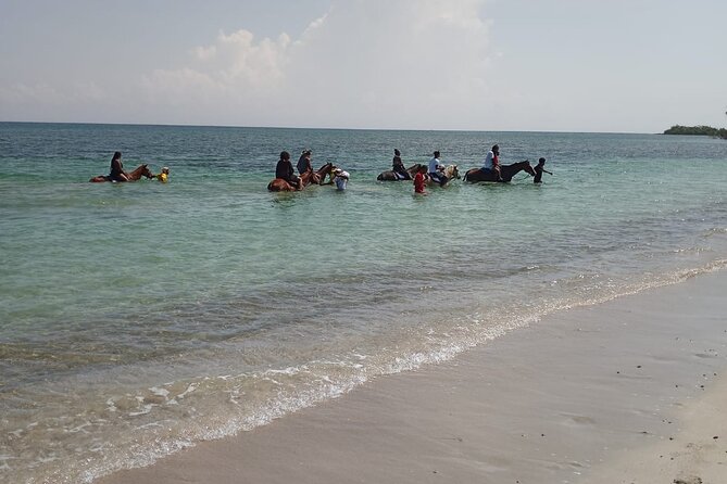 Horseback Riding plus Dunns River Falls Combo Private Tour - Is $190 per person a fair price?
