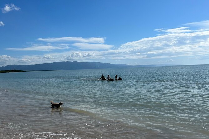 Horseback “SPECIAL”- Negril’s Beach Ride N’ Swim with Free photos/videos - Free photos add real value at $90
