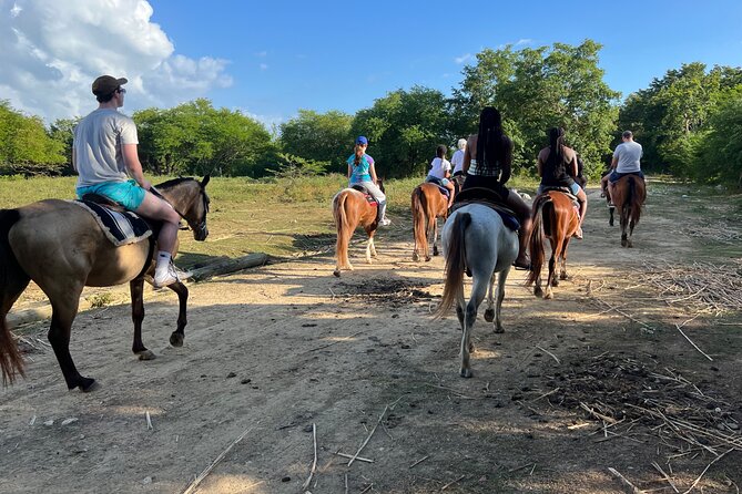 Horseback “SPECIAL”- Negril’s Beach Ride N’ Swim with Free photos/videos - Who will enjoy this ride most