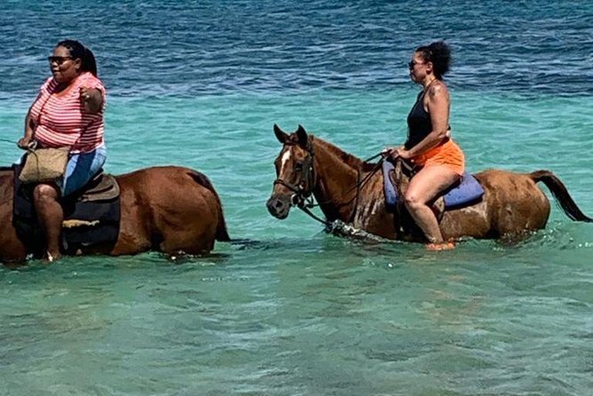 Hour Horseback Riding Guided Tour from Runaway Bay - From Runaway Bay to a Rural Jamaican Community