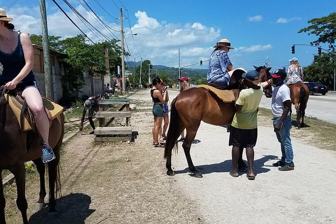 Hour Horseback Riding Guided Tour from Runaway Bay - What the One-Hour Duration Really Means