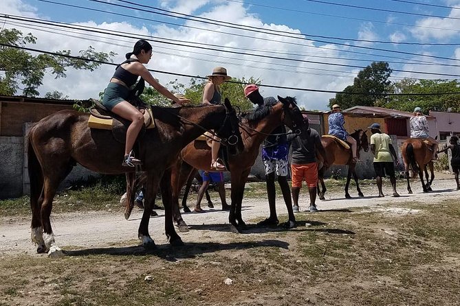 Hour Horseback Riding Guided Tour from Runaway Bay - Should You Book the Runaway Bay Horse Ride?
