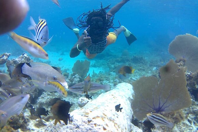 Incredible Negril Guided Snorkeling To Reef, Anchor, and Cannon - Key points to know before you book