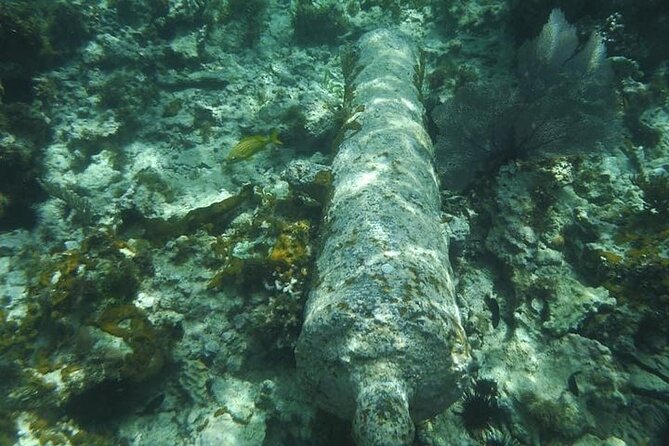 Incredible Negril Guided Snorkeling To Reef, Anchor, and Cannon - The anchor, cannon, and shipwreck stop