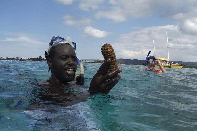 Incredible Negril Guided Snorkeling To Reef, Anchor, and Cannon - Is $65 a fair price?