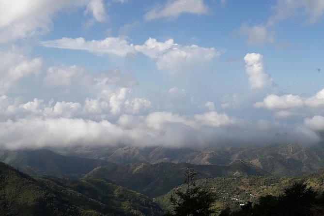 Jamaica Blue Mountain Guided Nature Tour - Irish Town and the cooler mountain road