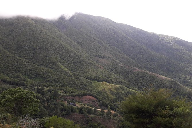Jamaica Blue Mountain Guided Nature Tour - Holywell National Park and the main outdoor time