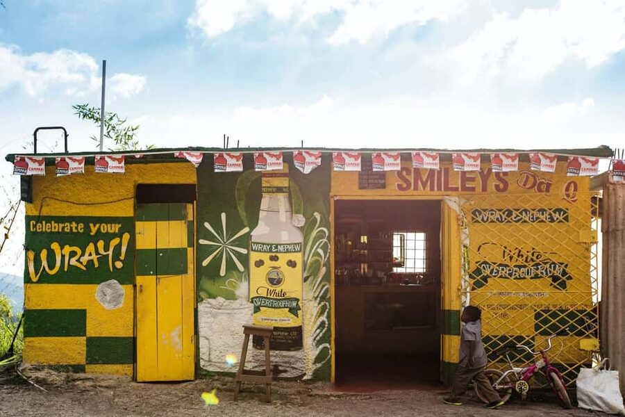Jamaica: Blue Mountains Full Day Tour with Brunch & Lunch - Rainforest, birds, and plants at higher ground