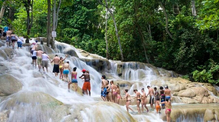 Jamaica: Bobsled and Dunn's River Falls Adventure Tour - Riding Sky Explorer above the treetops