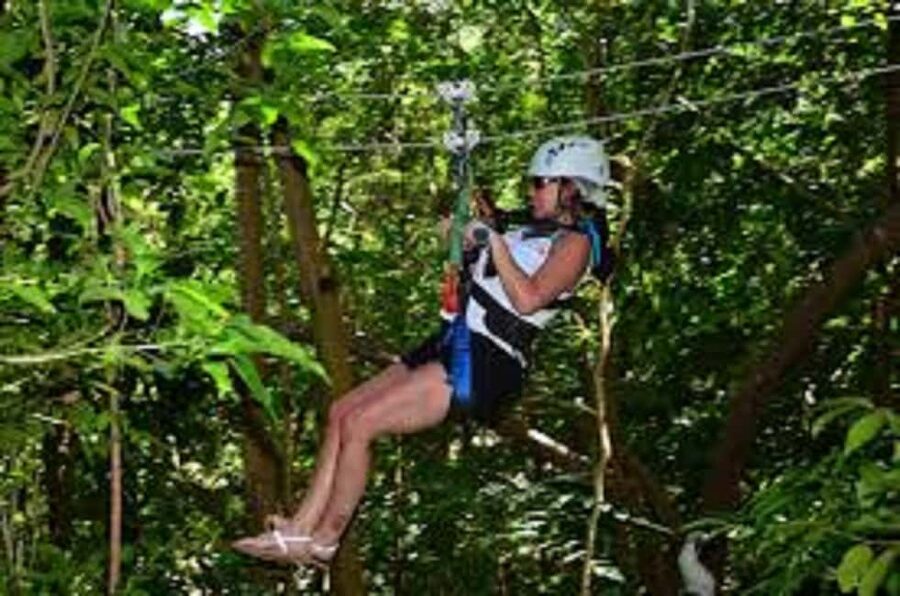 Jamaica Bobsled and Zip Line Adventure Tour - The ride up through Jamaica’s treetops