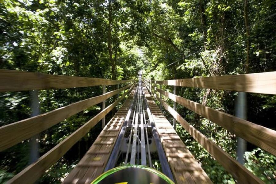 Jamaica Bobsled and Zip Line Adventure Tour - Steering a 1,000-meter Jamaican bobsled