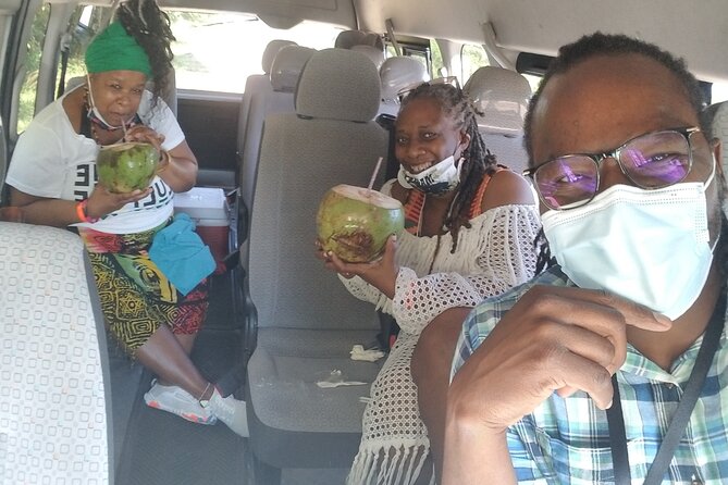 Jamaica Foodie and Cultural Experience & Konoko Falls Ocho Rios - Is $250 a fair price?