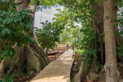Jamaica Giants sculpture park, art galleries