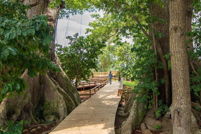 Jamaica Giants sculpture park, art galleries - The route begins in a vintage house gallery