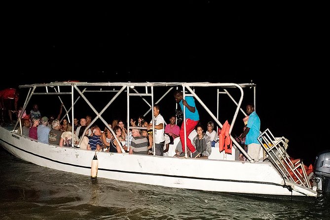 Jamaica Super Saver: Montego Bay & Rose Hall plus Mystic Lagoon Night Cruise - Who will enjoy this Super Saver