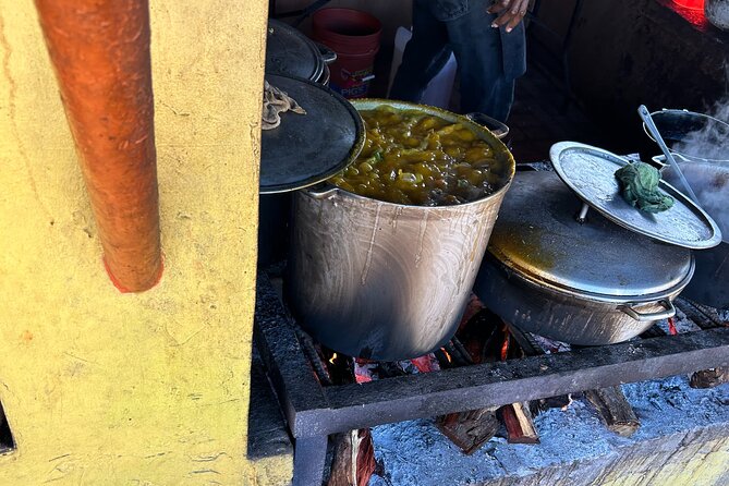 Jamaican Countryside Food Tasting Tour from Montego Bay - Why this short food tour works