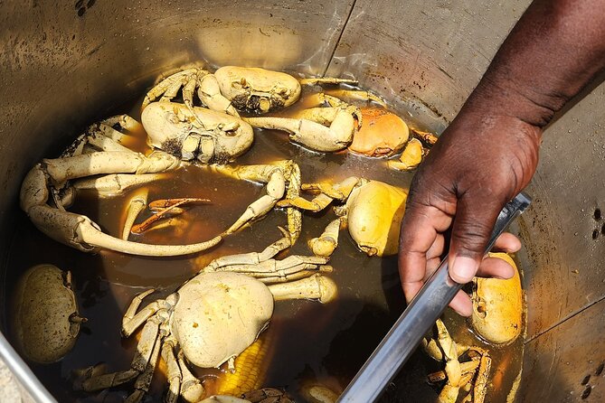Jamaican Street Food and Rum Tasting Private Tour - Timing, closures, and the parts you cannot control