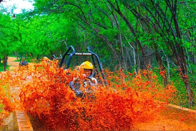 Jamwest ATV Off-Road Adventure & Zipline Combo in Negril - The zipline course above the trees