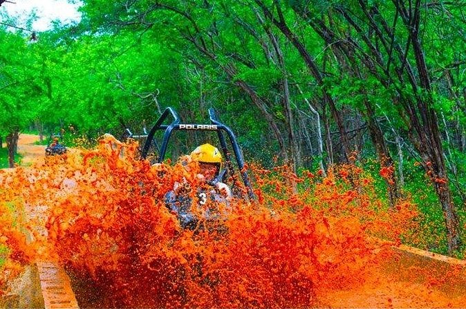 Jamwest ATV Off-Road Adventure & Zipline Combo in Negril - Who will enjoy this combination