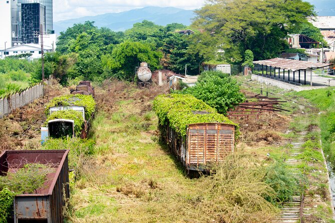 Kingston City Classic Guided Tour - Is $85 a fair price?