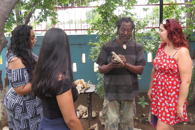 Kingston City Tour (starting in Kingston) - Why this Kingston tour works for a first visit