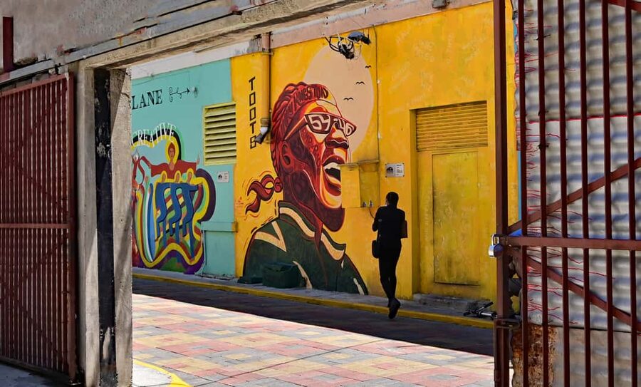 Kingston Creative: Mural Art Walking Tour - Who will get the most from this tour