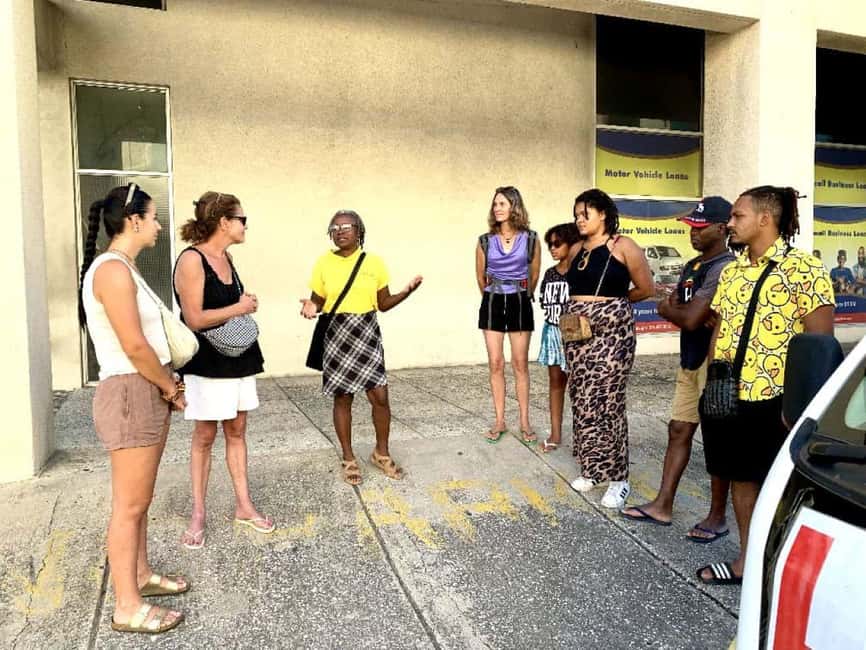 Kingston: Rhythmic Walking Music Tour - Who should book this experience