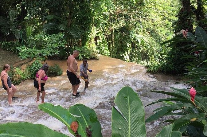 Konoko Falls and Tropical Garden Tour from Ocho Rios - What the private tour changes