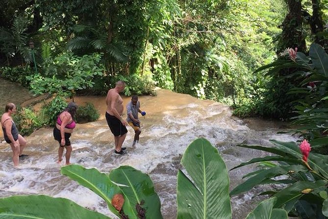 Konoko Falls and Tropical Garden Tour from Ocho Rios - Simple ways to prepare