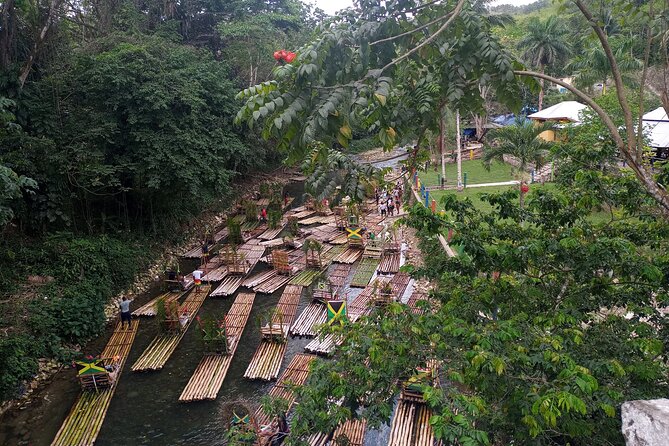 Lethe River Rafting Travel from Montego Bay w FREE Rum Punch - What you see from the raft