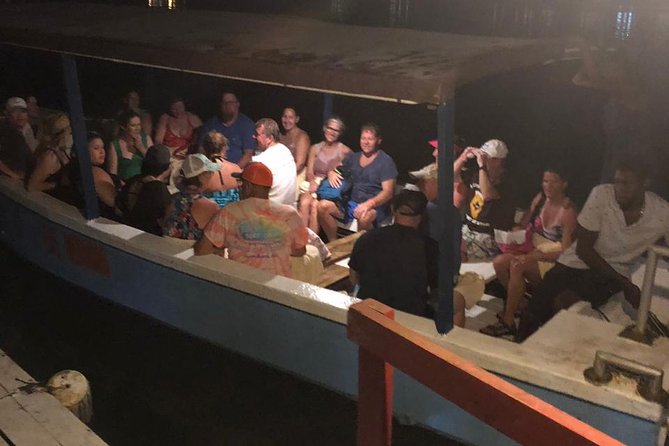 Luminous Lagoon After Dark Tour - Swimming, safety, and comfort