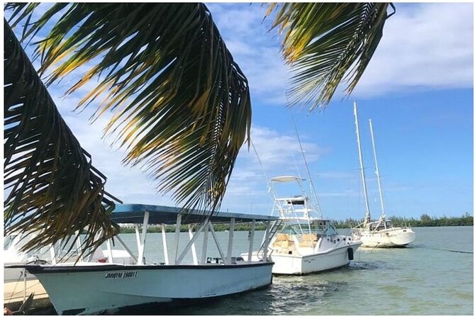 Luminous lagoon Dark night Tour from Ocho Rios and Runaway Bay Hotels - Swimming in water that flashes around you