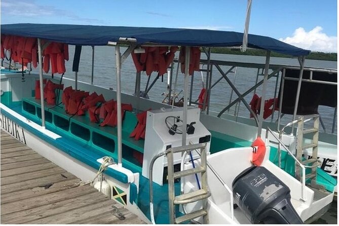 Luminous lagoon Dark night Tour from Ocho Rios and Runaway Bay Hotels - Why your photos may disappoint