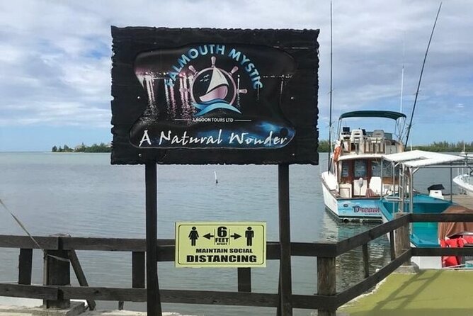 Luminous lagoon Dark night Tour from Ocho Rios and Runaway Bay Hotels - The ride from Ocho Rios or Runaway Bay