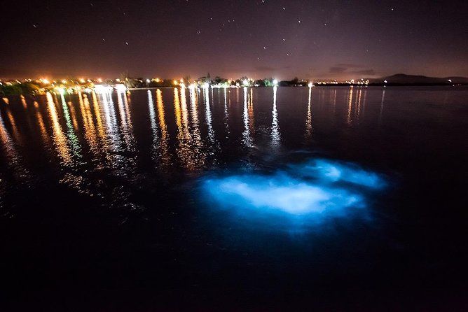 Luminous Lagoon Experience - From Montego Bay pickup to the dock