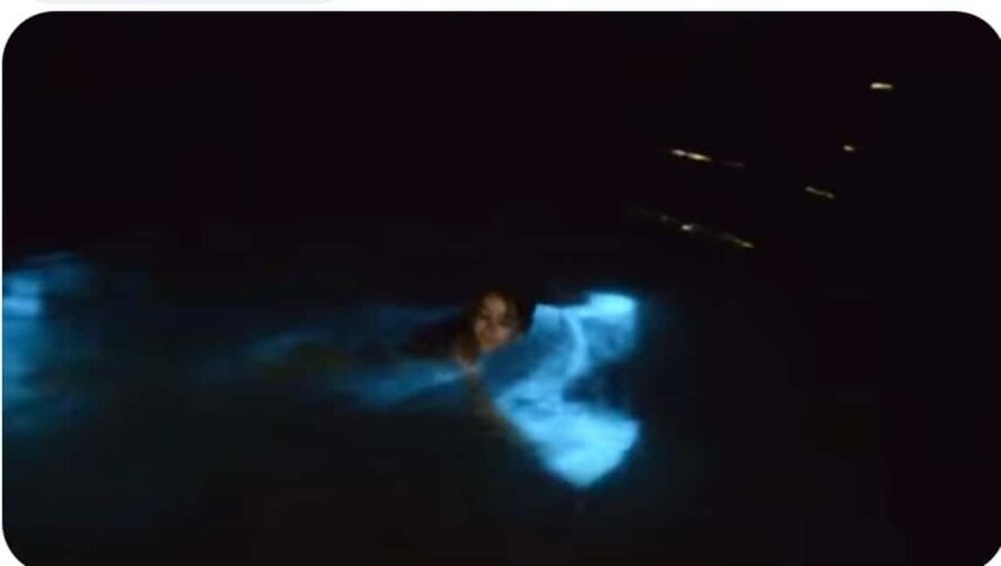 Luminous Lagoon Experience: Ocho Rios Runaway Bay & Falmouth - Why the Luminous Lagoon Glows Blue
