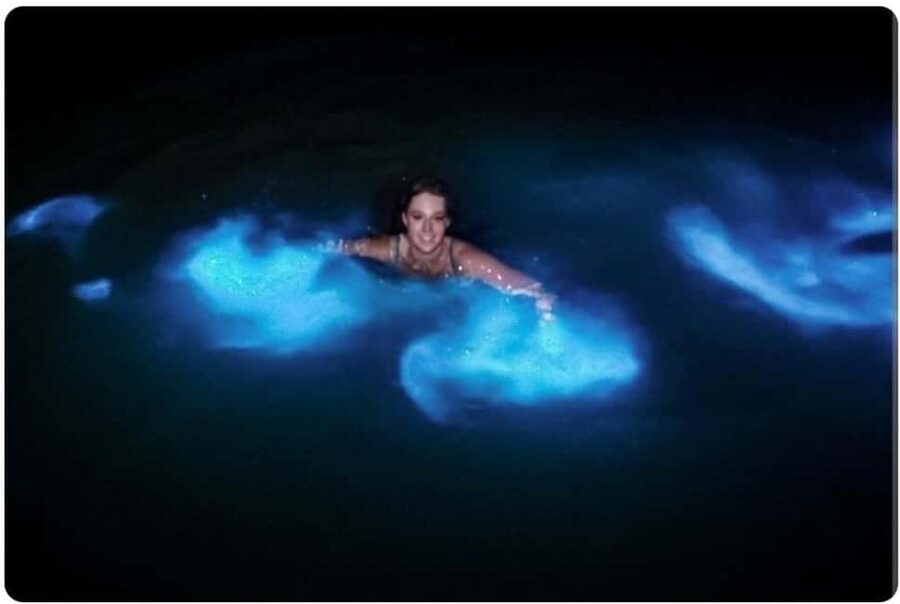 Luminous Lagoon Experience: Ocho Rios Runaway Bay & Falmouth - Choosing a Dark Night in Falmouth